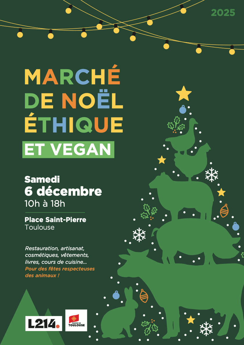 Marché de Noël Ethique et Végane de Toulouse 2025